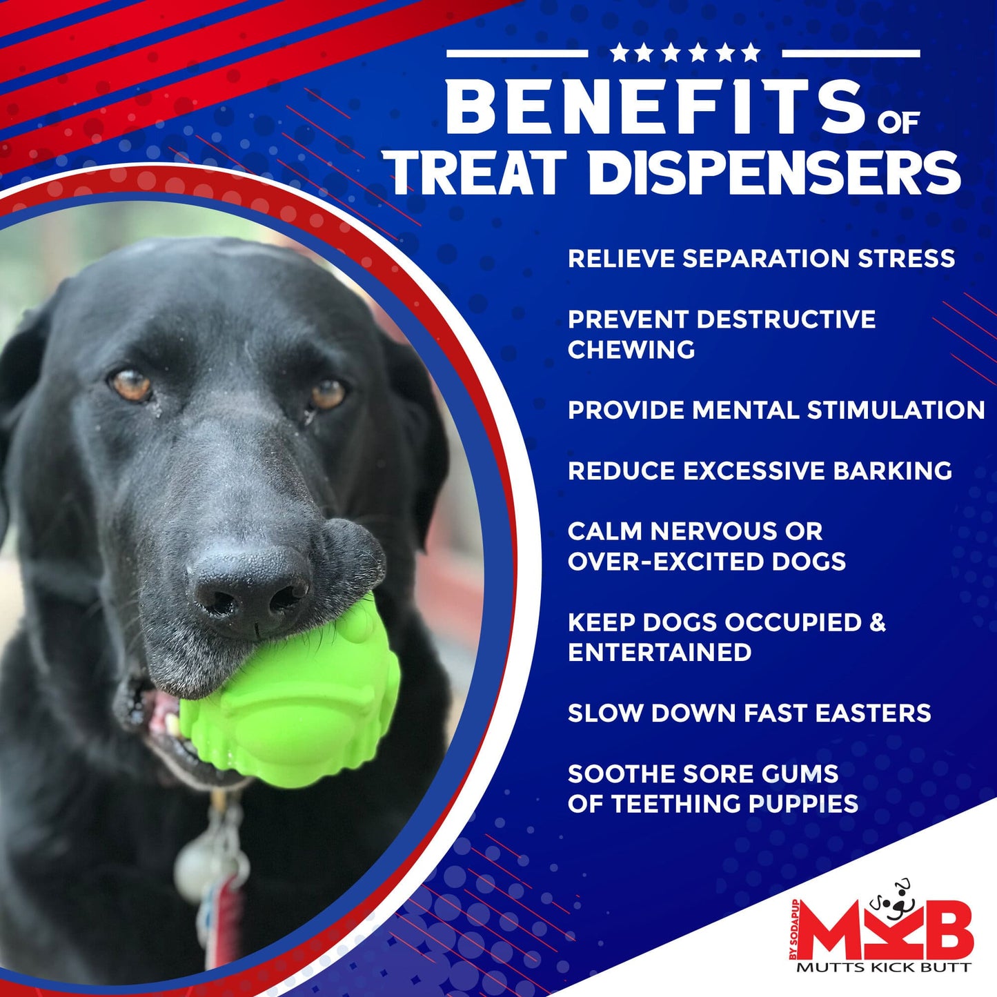 Dog Toy Bull Frog Rubber Chew & Treat Dispenser