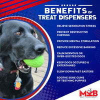 Dinosaur Egg eDispenser Durable Rubber Chew Toy & Treat Dispenser