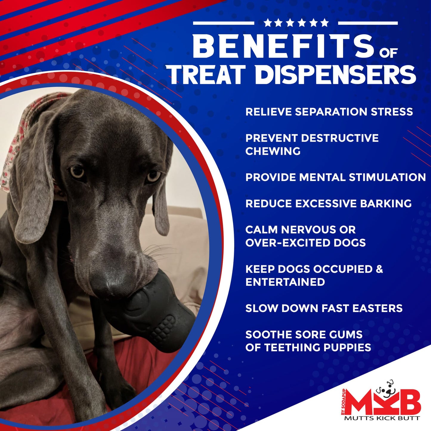 Magnum Sugar Skull Dog Chew Toy & Treat Dispenser - USA Made |