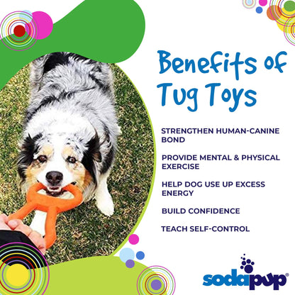 Pop Top Rubber Tug Toy for Interactive Play | Heavy Chewers