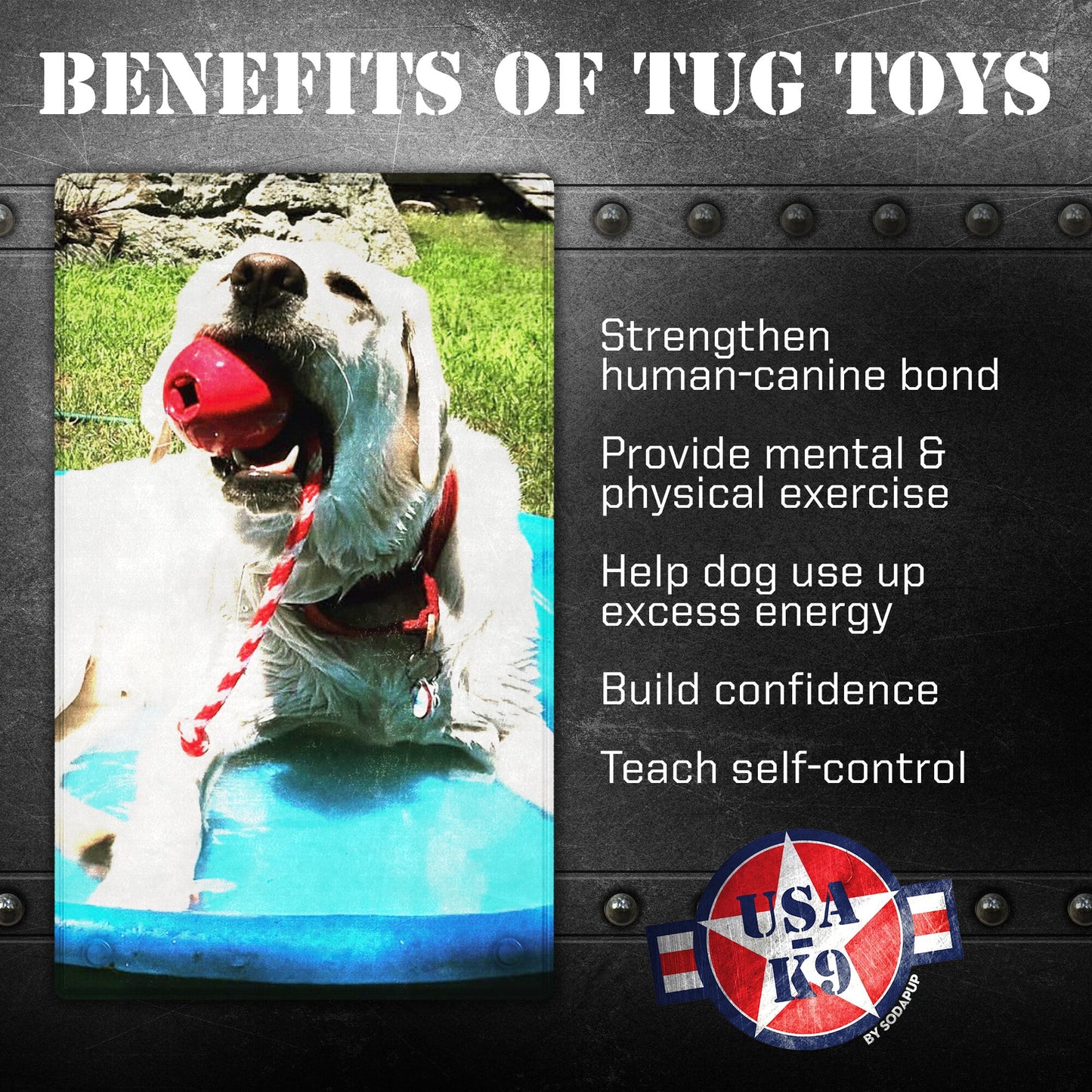 USA-K9 Cherry Bomb Rubber Dog Chew Toy | K9 Handler Reward Toy