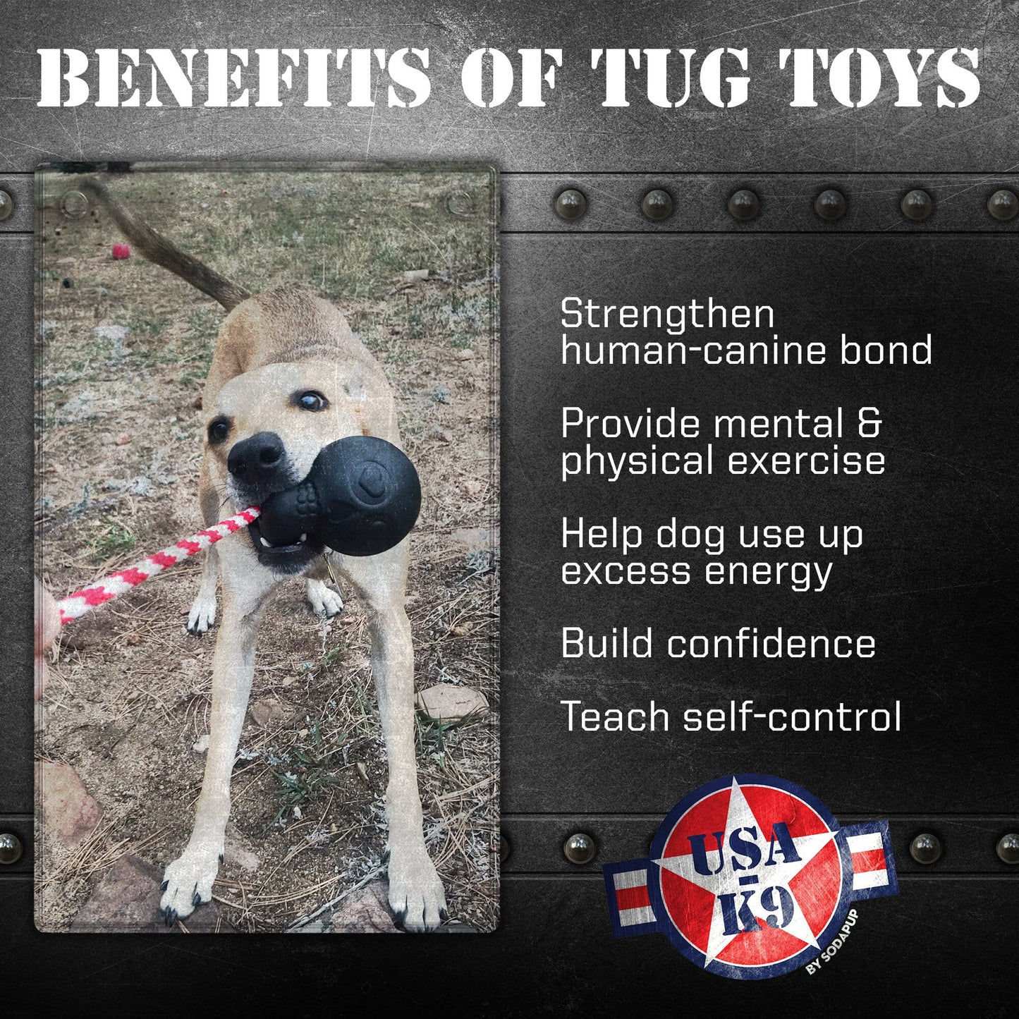 USA-K9 Magnum Skull Rubber Toy