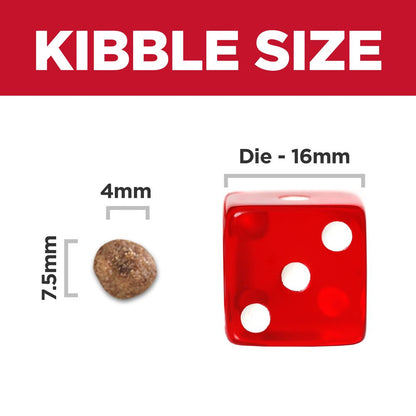 Hill's Science Diet Adult Small & Mini Lamb Meal & Brown