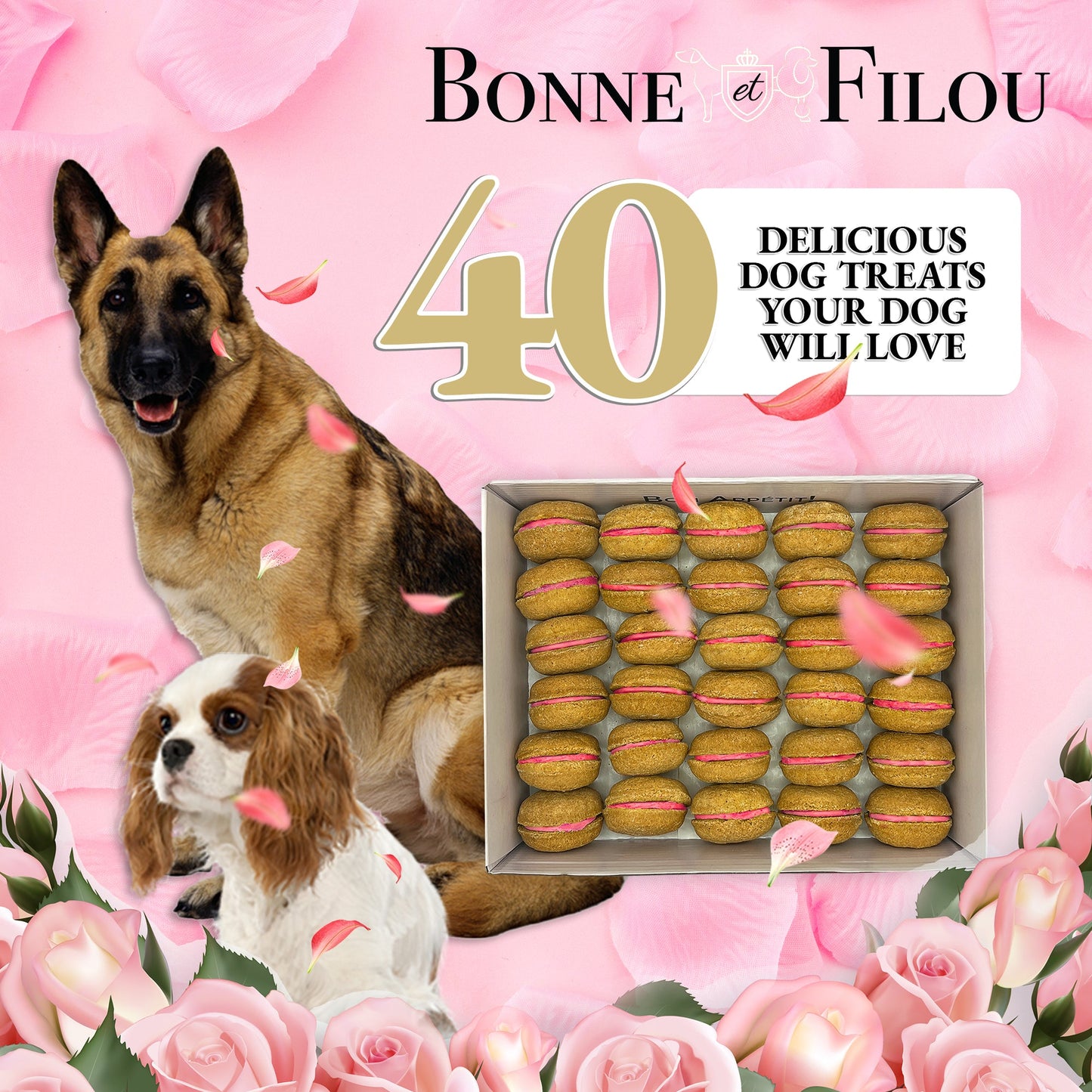 Dog Treats Macaron Gift Box 40 Count
