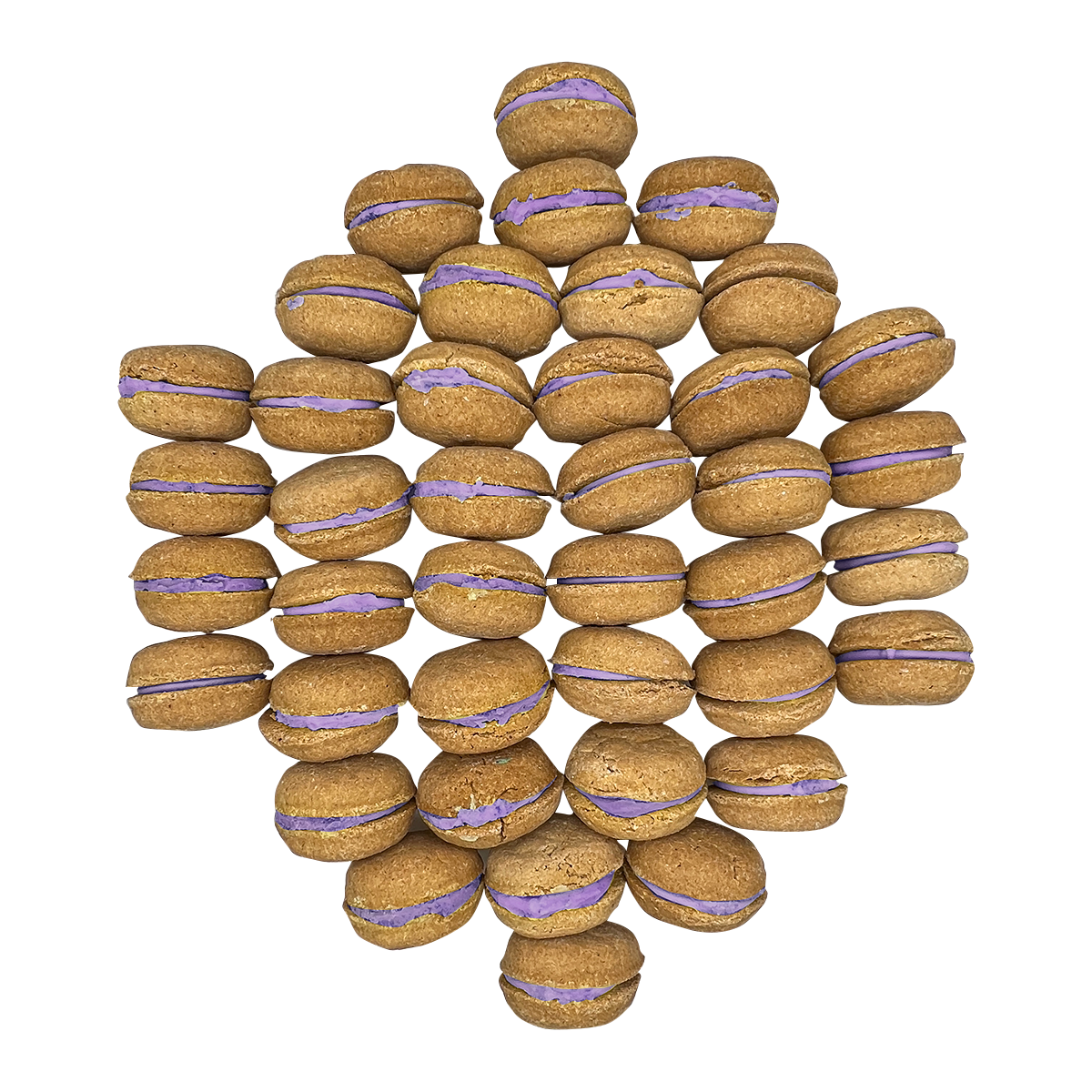 Dog Treats Macaron Gift Box 40 Count