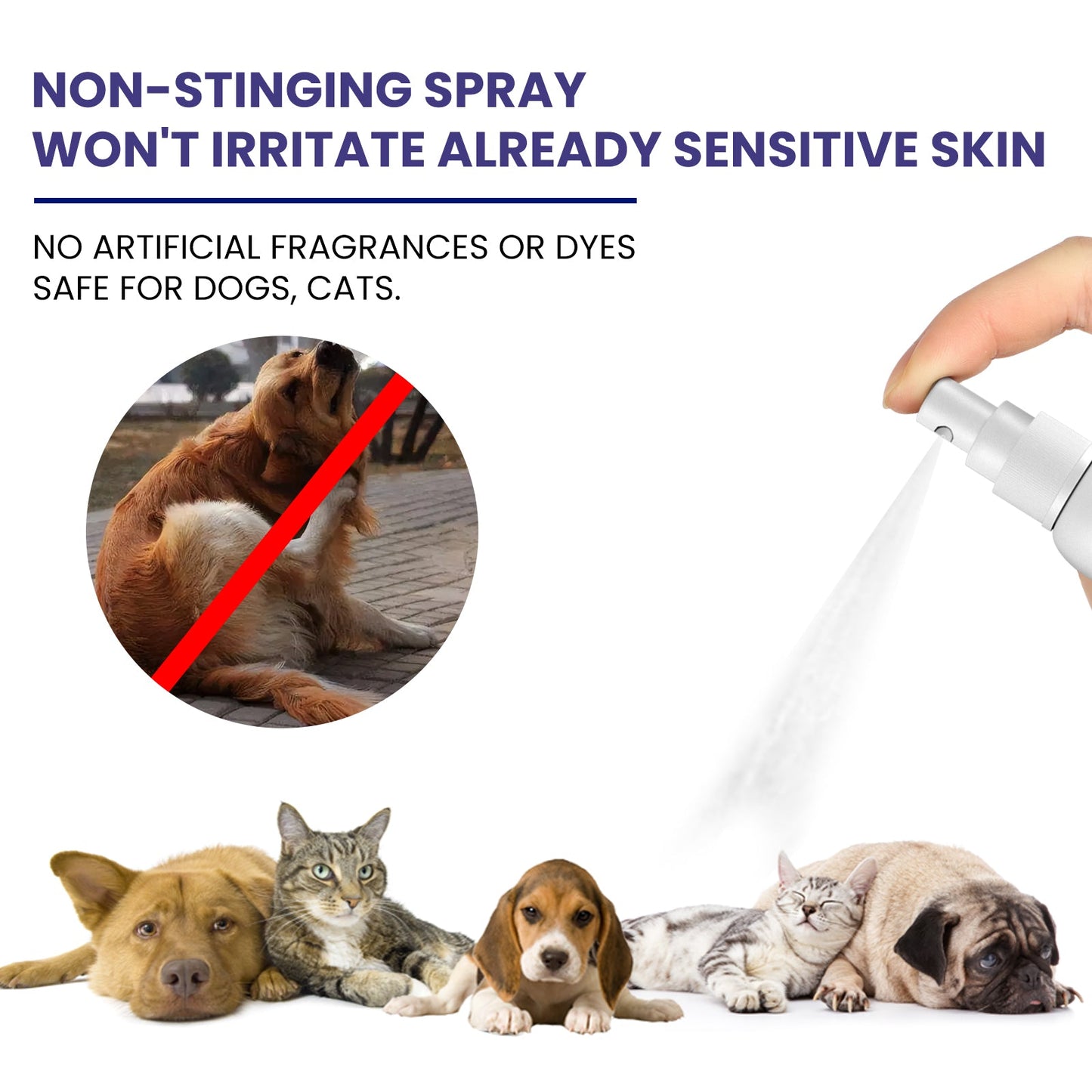 Pet Anti-Itch Spray, Pet Universal Cleaning And Soothing Skin Fur For Anti-Mite Anti-Bug Anti-Itch Spray