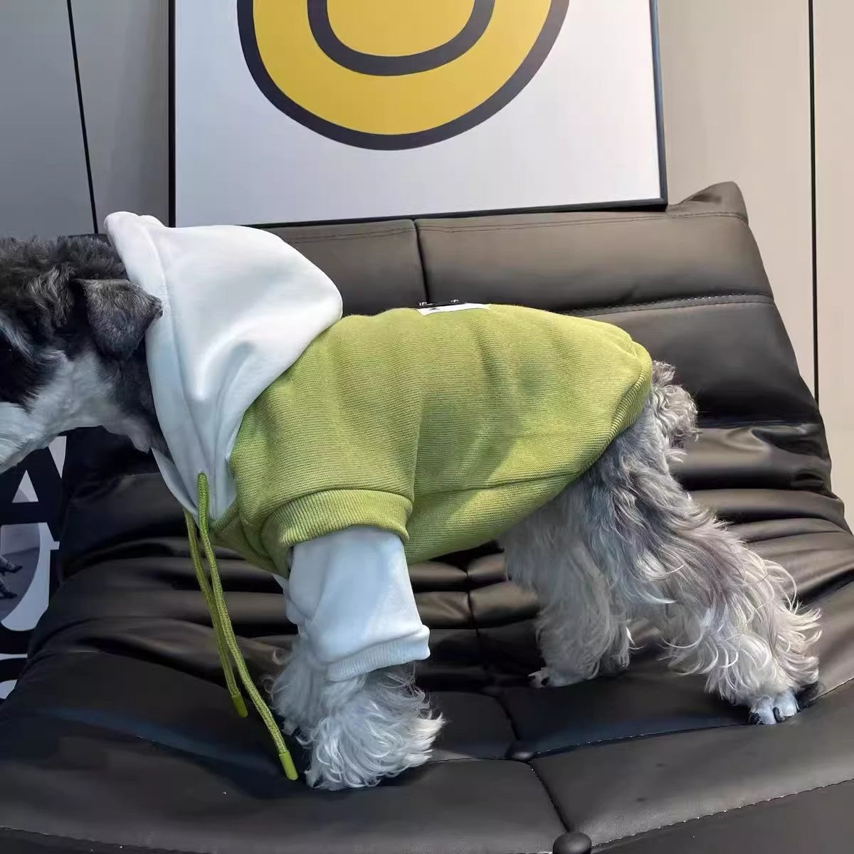 Fleece-lined Insulated Hooded Sweatshirt For Pets