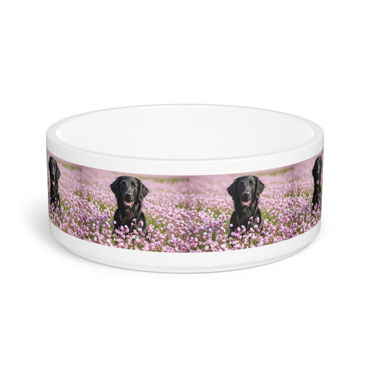 Flat Coated Retriever Pet Bowl
