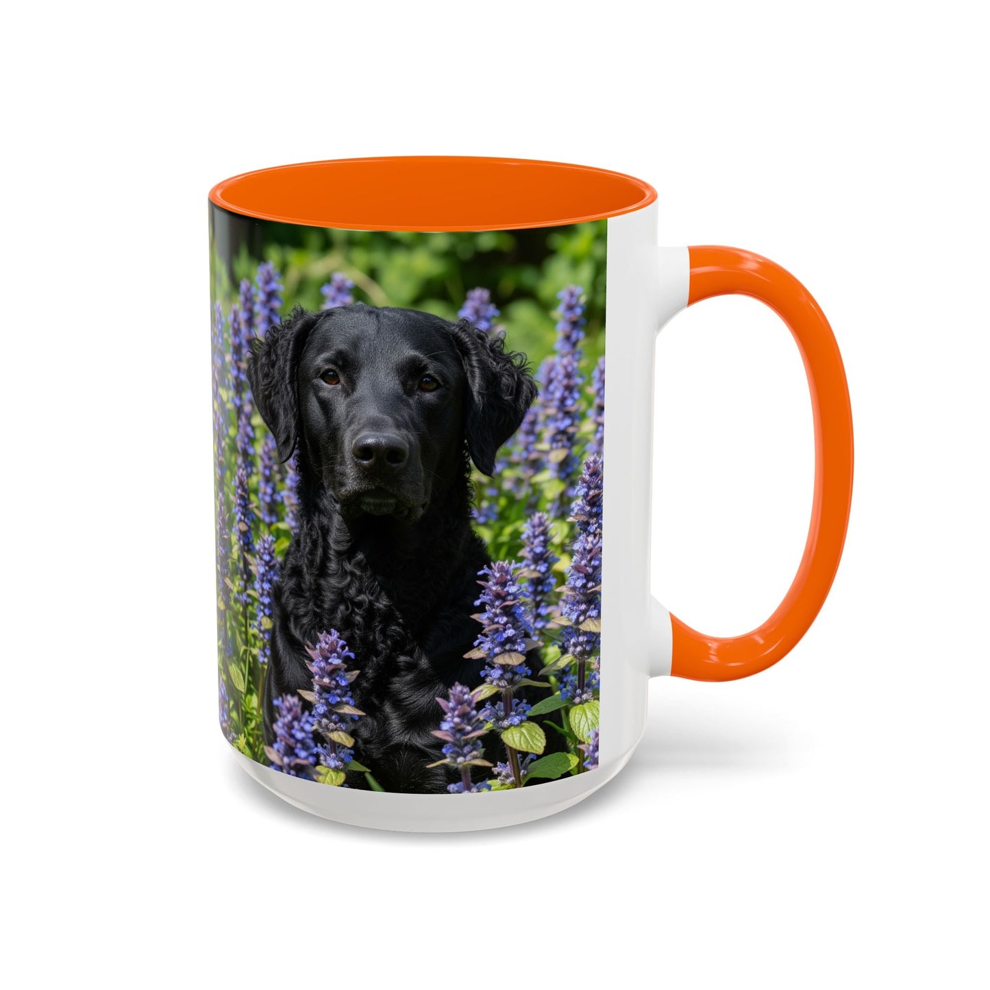Curly Coated Retriever Accent Coffee Mug - Perfect Gift for