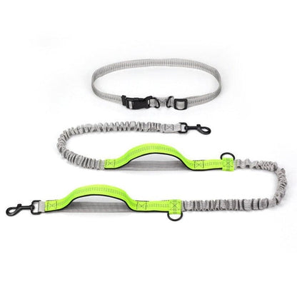 Ultimate Outdoor Adventure Dog Leash - Pets - THRIXINE