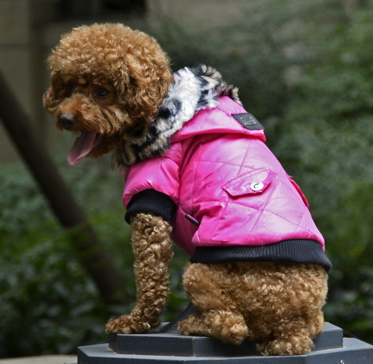 Dog Coat Winter Fur Collar Jacket for Small & Large Dogs