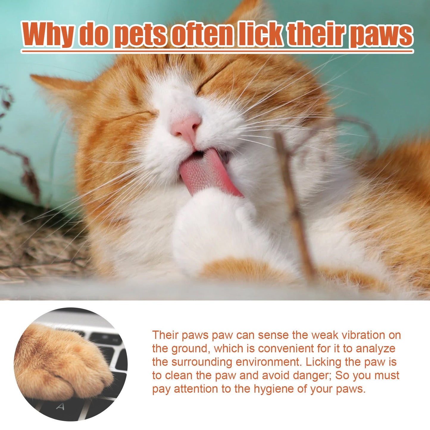 Pet Foot Care Cream For Animals, Cats, Dogs And Paws Foot Care Cream For Soles And Pads - Purrfect Pet Kingdom