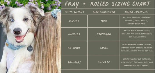 BANDANA - CEDARWOOD - Purrfect Pet Kingdom