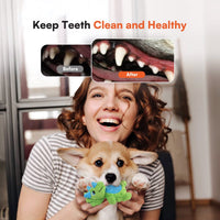 My T-Rex - Squeaky Dog Toys - Thomas The Mini Triceratops