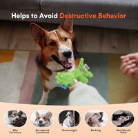 My T-Rex - Squeaky Dog Toys - Thomas The Mini Triceratops