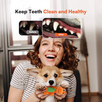 My T-Rex - Squeaky Dog Toys - Tim The Mini T-Rex Plush Dog