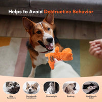 My T-Rex - Squeaky Dog Toys - Tim The Mini T-Rex Plush Dog