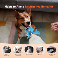 My T-Rex - Squeaky Dog Toys - Peter The Mini Pterodactyl