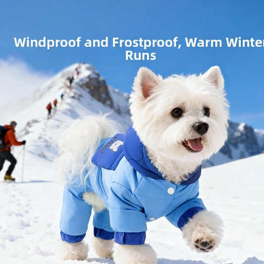 New Winter Down Jackets For Dogs, Bichon Schnauzer Small And