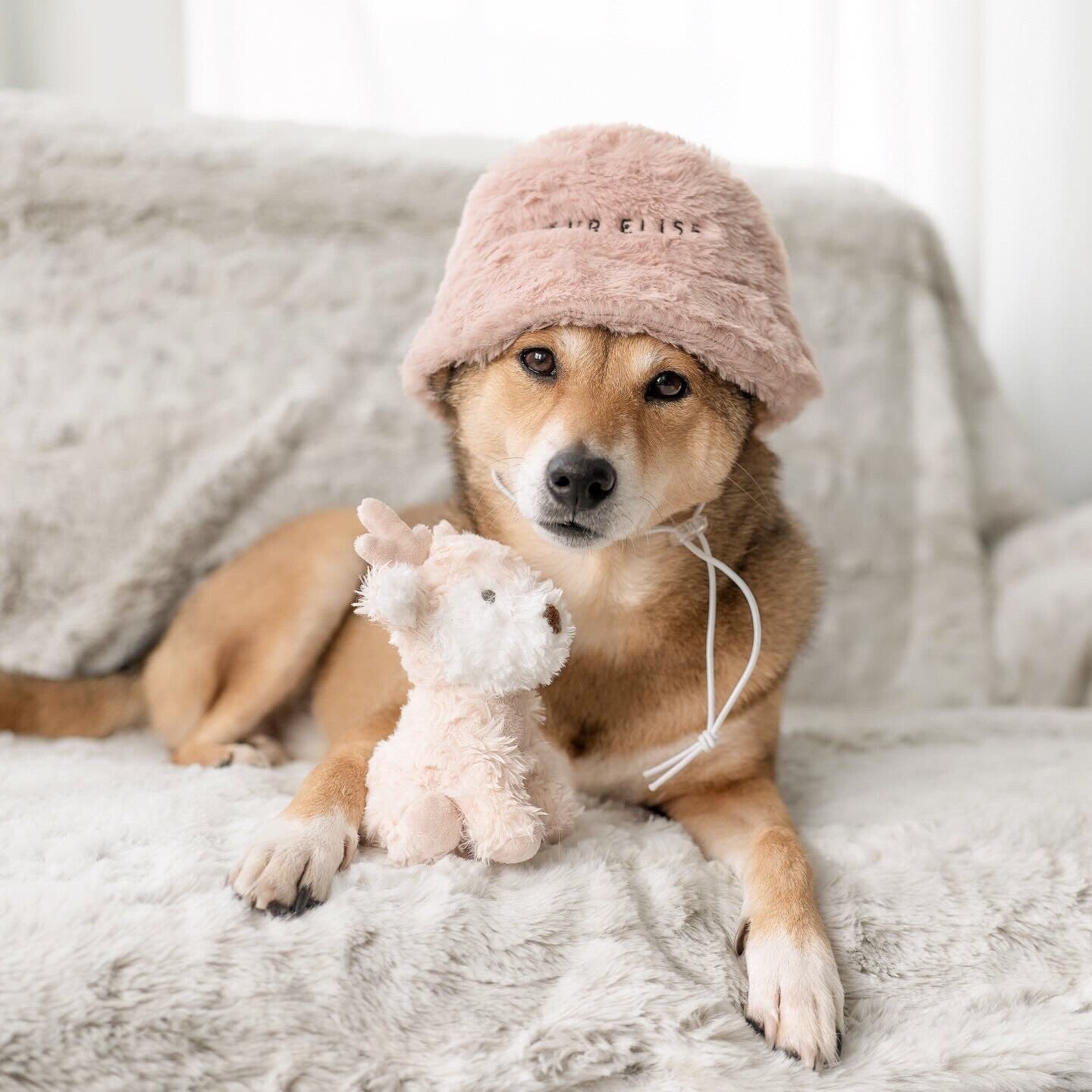 Furi Pet Hat - Sand - Pet Hat - Elise Galleria