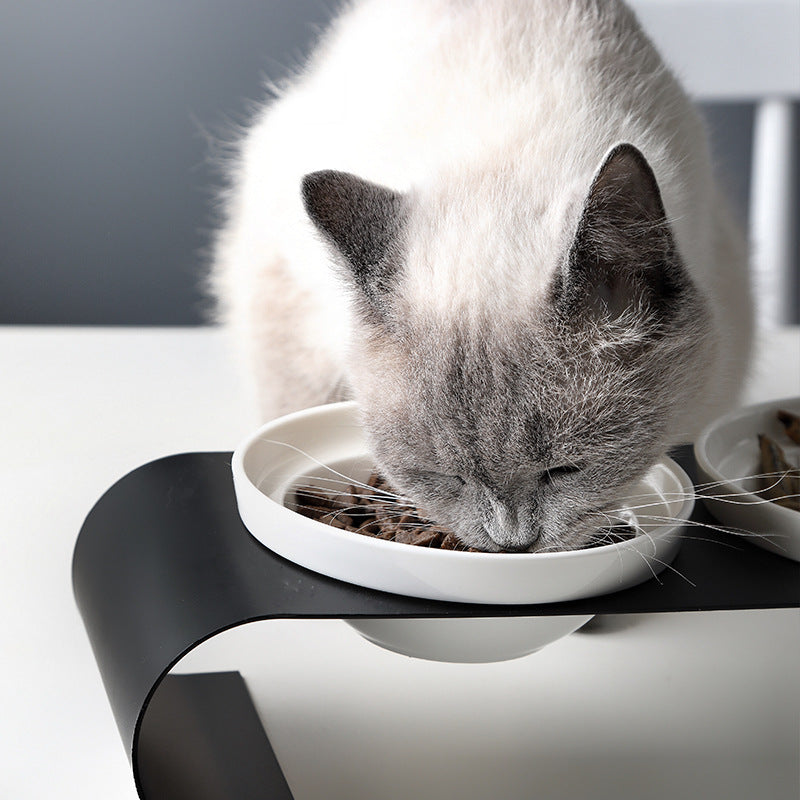 Elevated Double Ceramic Cat Bowls with Luxury Iron Stand