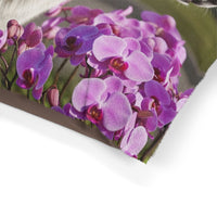 Caucasian Shepherd Dog Pet Bed