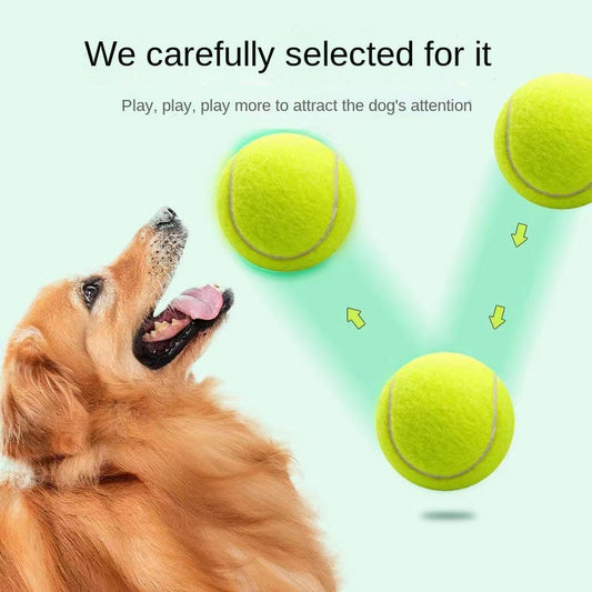 Dog Toy Rubber Elastic Tennis Ball Small and Medium sized Dog Bite Dog Toy