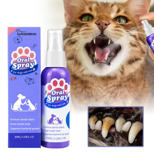 Tooth Cleaning Spray For Cats And Dogs, Remove Tooth Stains Fresh Breath Pets Oral Care Spray - Purrfect Pet Kingdom