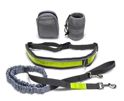 Premium Hands Free Adjustable Dog Leash For Active Walkers