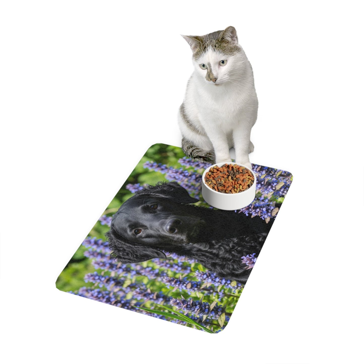 Pet Food Mat (12x18) - Curly Coated Retriever