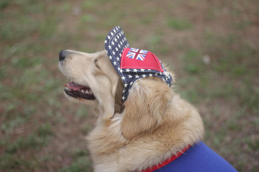 Star Print Dog Sun Hat with Ear Holes