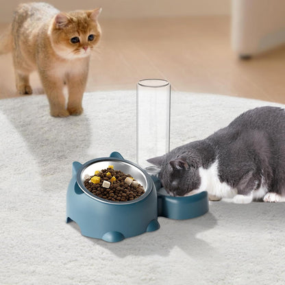 Purrfect Pet Kingdom Cat Food And Water Bowl Set - 16 Degree Tilted Dog Dish With (Plastic bowl, Black) - Premium Pet Bowls & Feeders