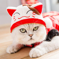 Cute Funny Pet Costume Hat