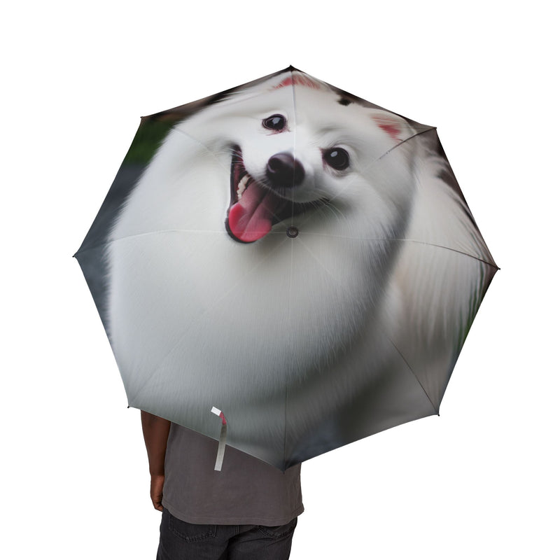 American Eskimo Dog Semi-Automatic Foldable Umbrella