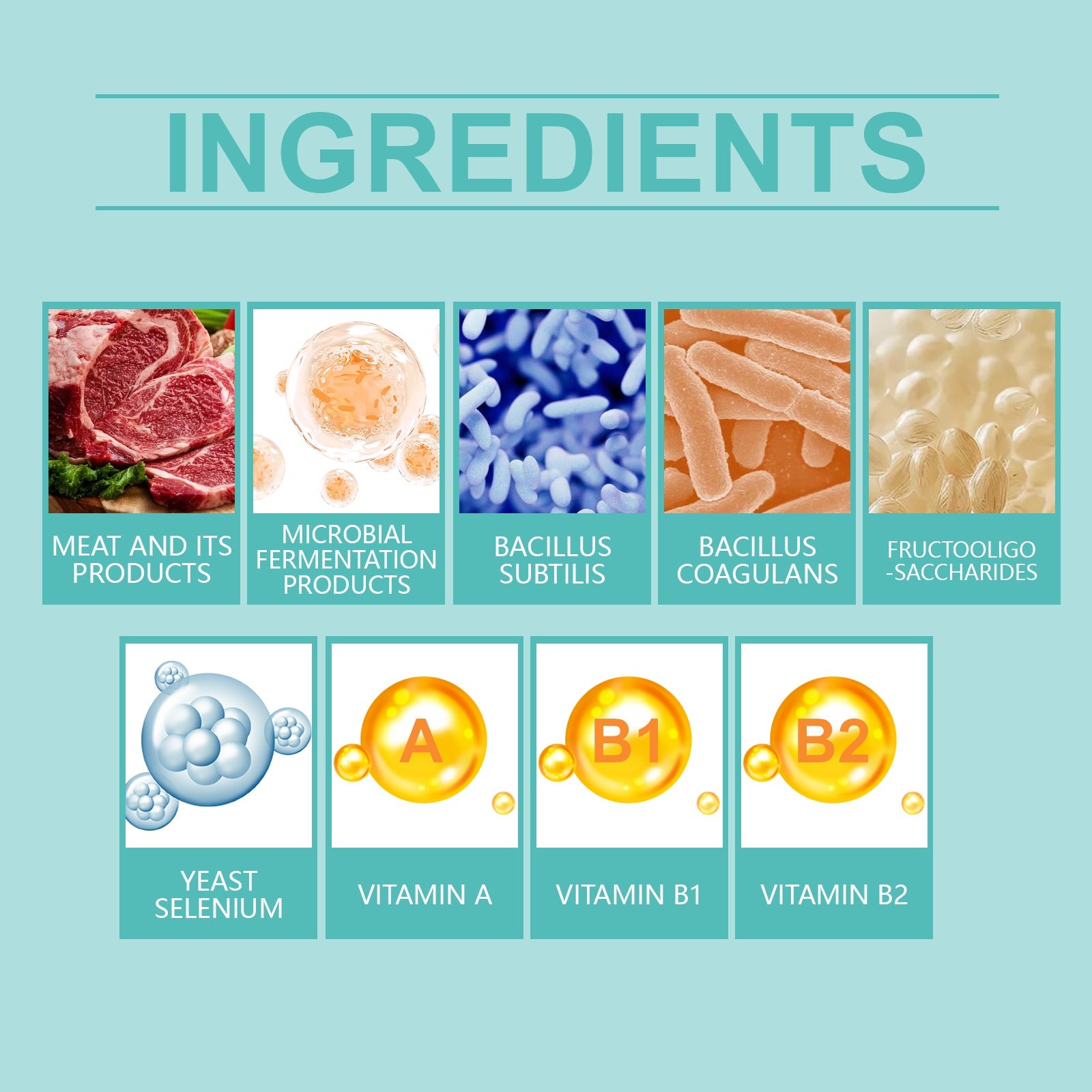 Cat Probiotic Tablets To Improve Intestinal Health, Balance Digestion And Absorption Of Pet Nutritional Supplements - Purrfect Pet Kingdom