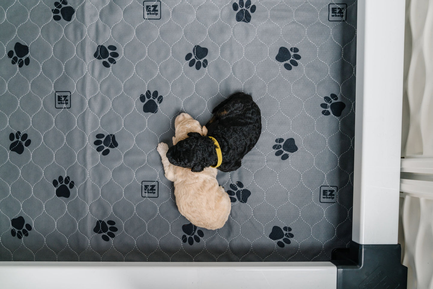 EZwhelp Reusable Quick Dry Pads - Heavy Absorbency - Dog Crate Blanket - EZwhelp