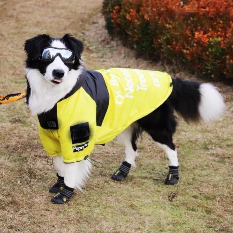 The Dog Face Windproof Waterproof Reflective Pet Cat Dog Jacket