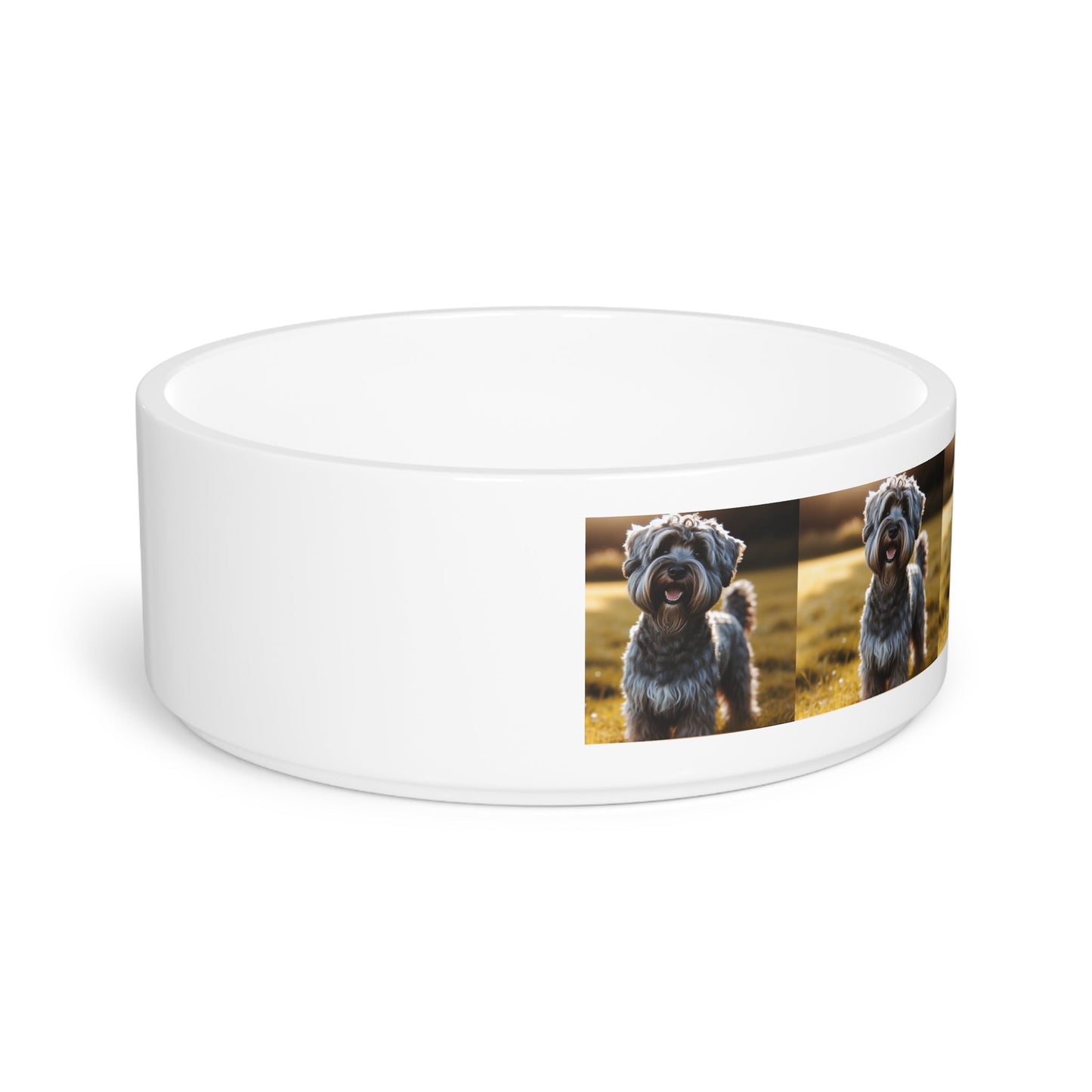 Cesky Terrier Dog Pet Bowl