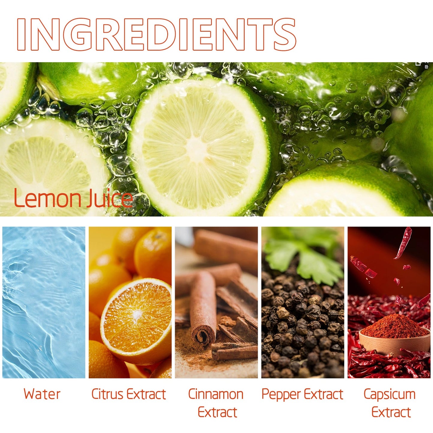 Pet Anti-Chew Spray Pet Behavior Modification Anti-Bite Scratching Spray For Cats And Dogs