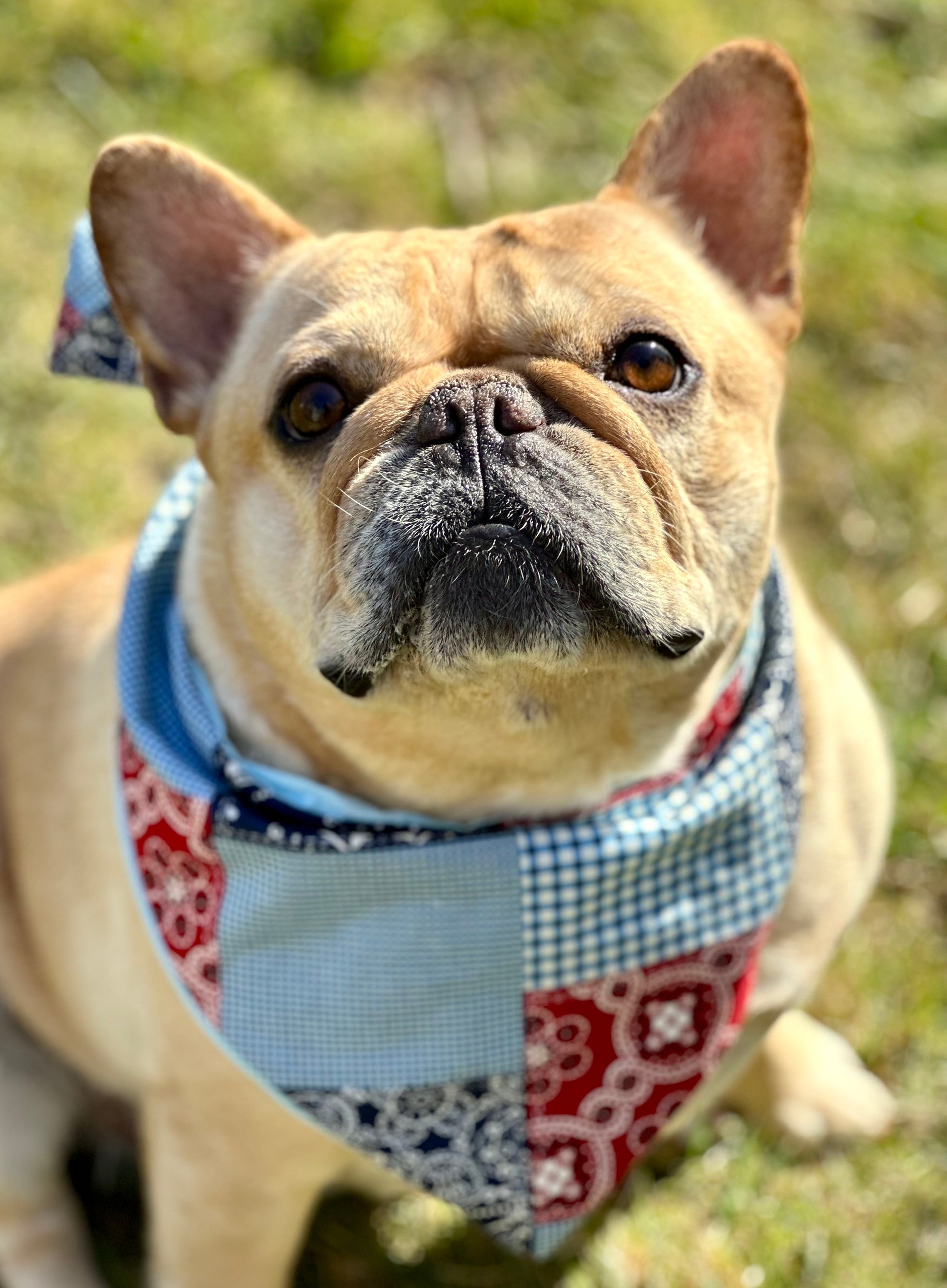 Patchwork Dog Bandana - Purrfect Pet Kingdom