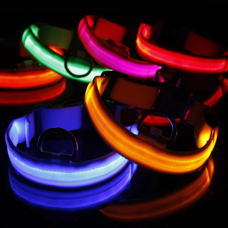 Royal Luminous Safety Pet Collar Adjustable LED Night Visibility 💡👑