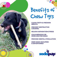 Durable Nylon Chew Stick for Power Chewers | Indestructible Dog Toy USA