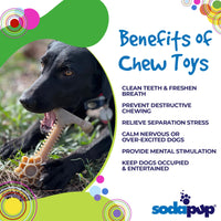 Honey Bone Dental Flower Tower - Indestructible Nylon Dog Chew Toy XL | USA