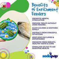 Water Nylon eCoin Durable Enrichment Snacking Coin for Dogs | USA-Made Lick Mat Alternative