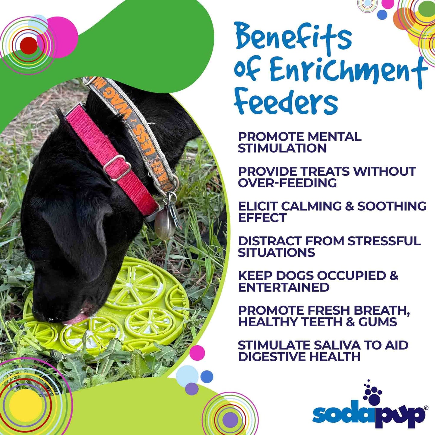 Citrus Design eMat - Enrichment Lick Mat For Dogs and Cats