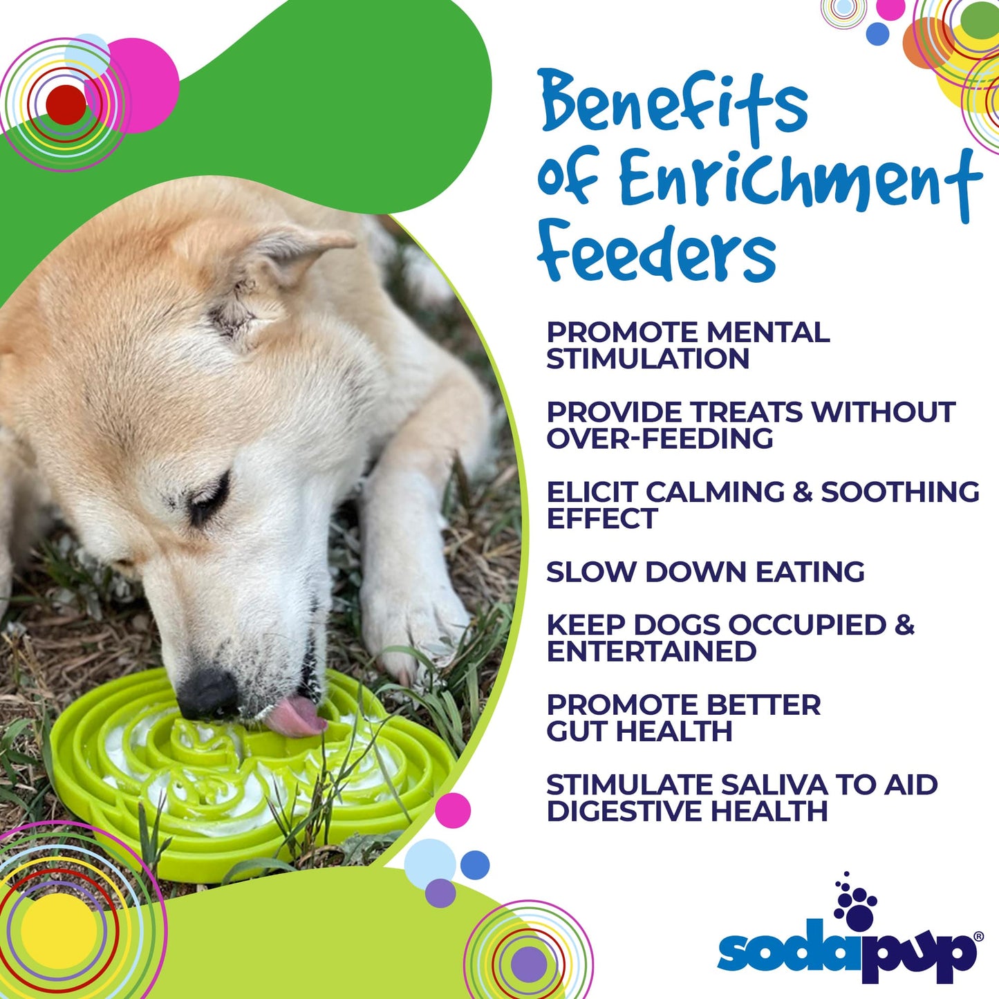 Water Frog eTray - Shallow Slow Feeder Dog Bowl for Enrichment