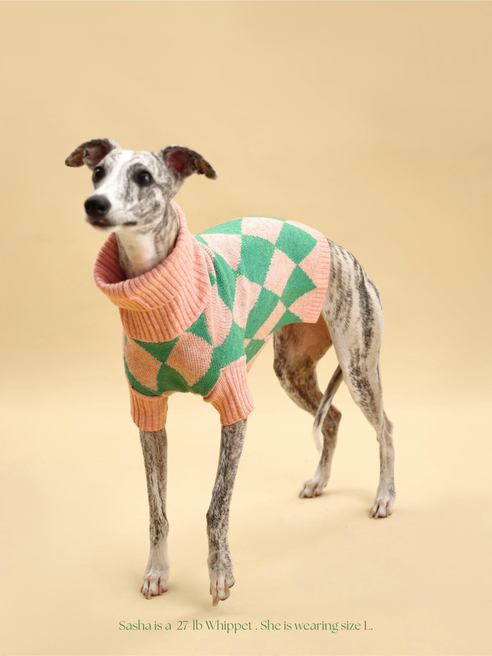 Sunday Brunch in Brooklyn Sweater - Dog Sweater - BarkBarkBaby