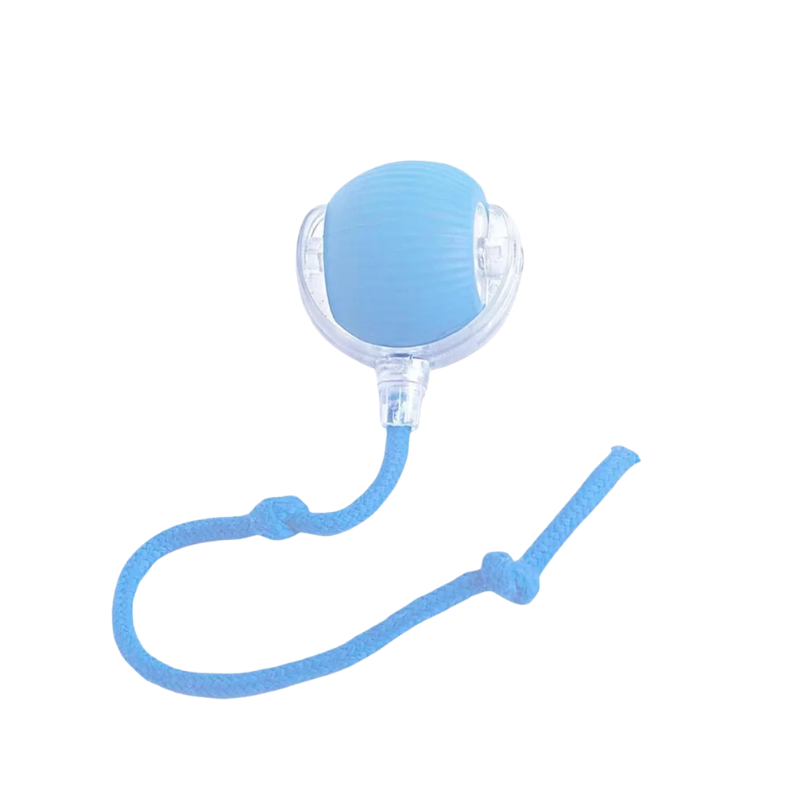 Interactive Cat Ball Toy Smart Automatic Rolling Ball for Active Indoor Cats - WTN Essentials