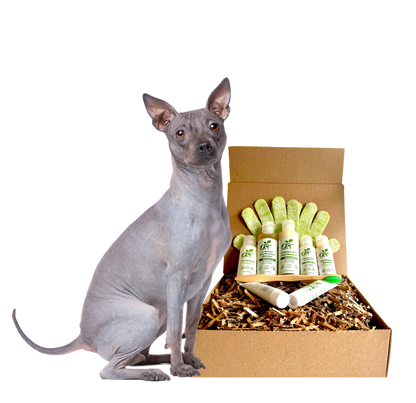 Hairless dog by a Purrfect Pet Kingdom organic grooming kit: white shampoo bottles, wooden brush, and green scrub mitt.