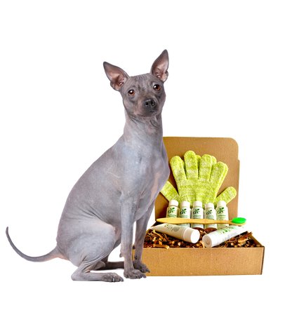 Organic Seven Piece Grooming Kit for Sensitive Hairless Dogs